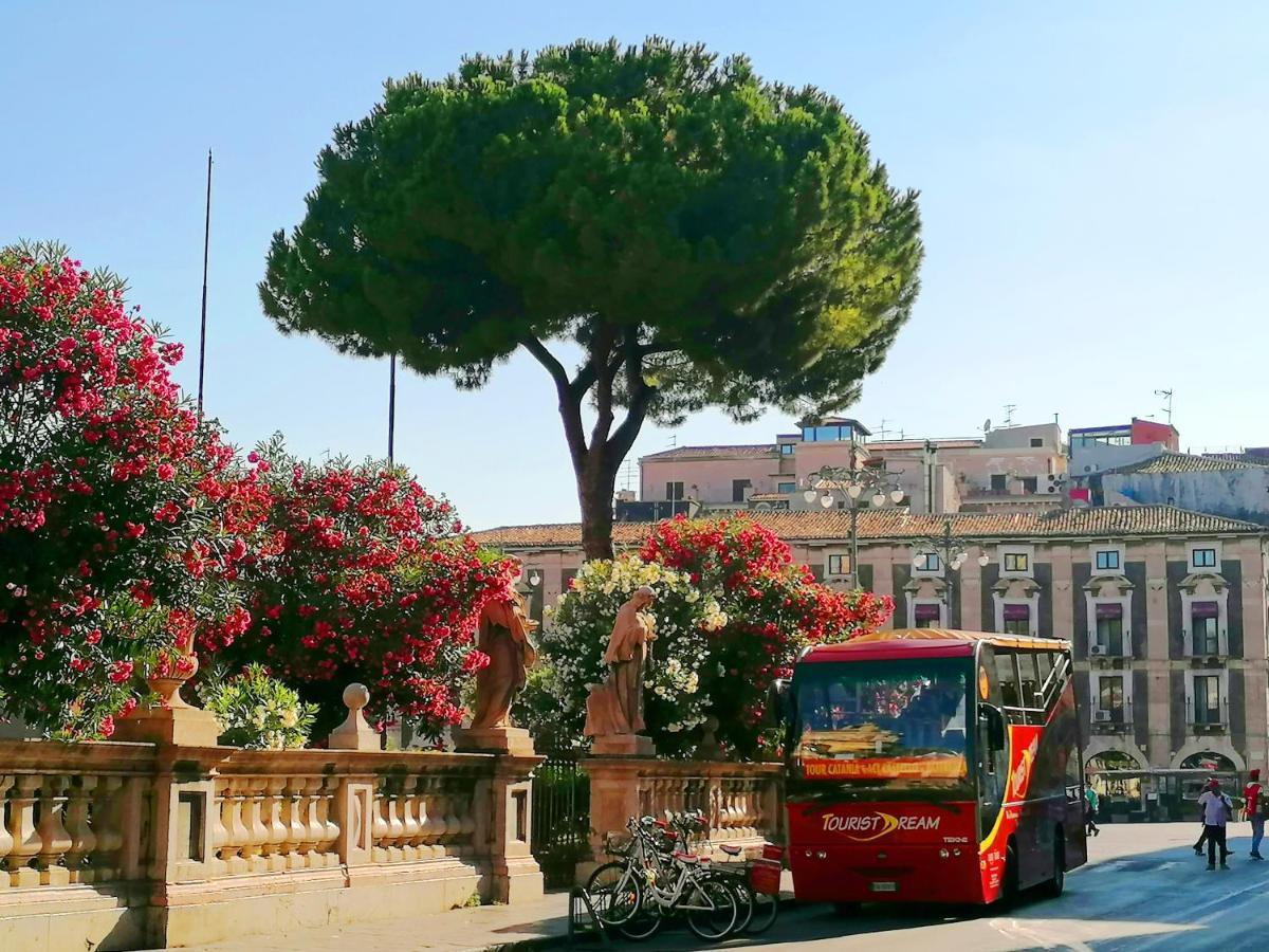 Diletta Oasi Bed & Breakfast Catania Bagian luar foto