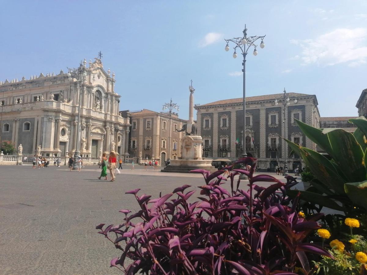 Diletta Oasi Bed & Breakfast Catania Bagian luar foto
