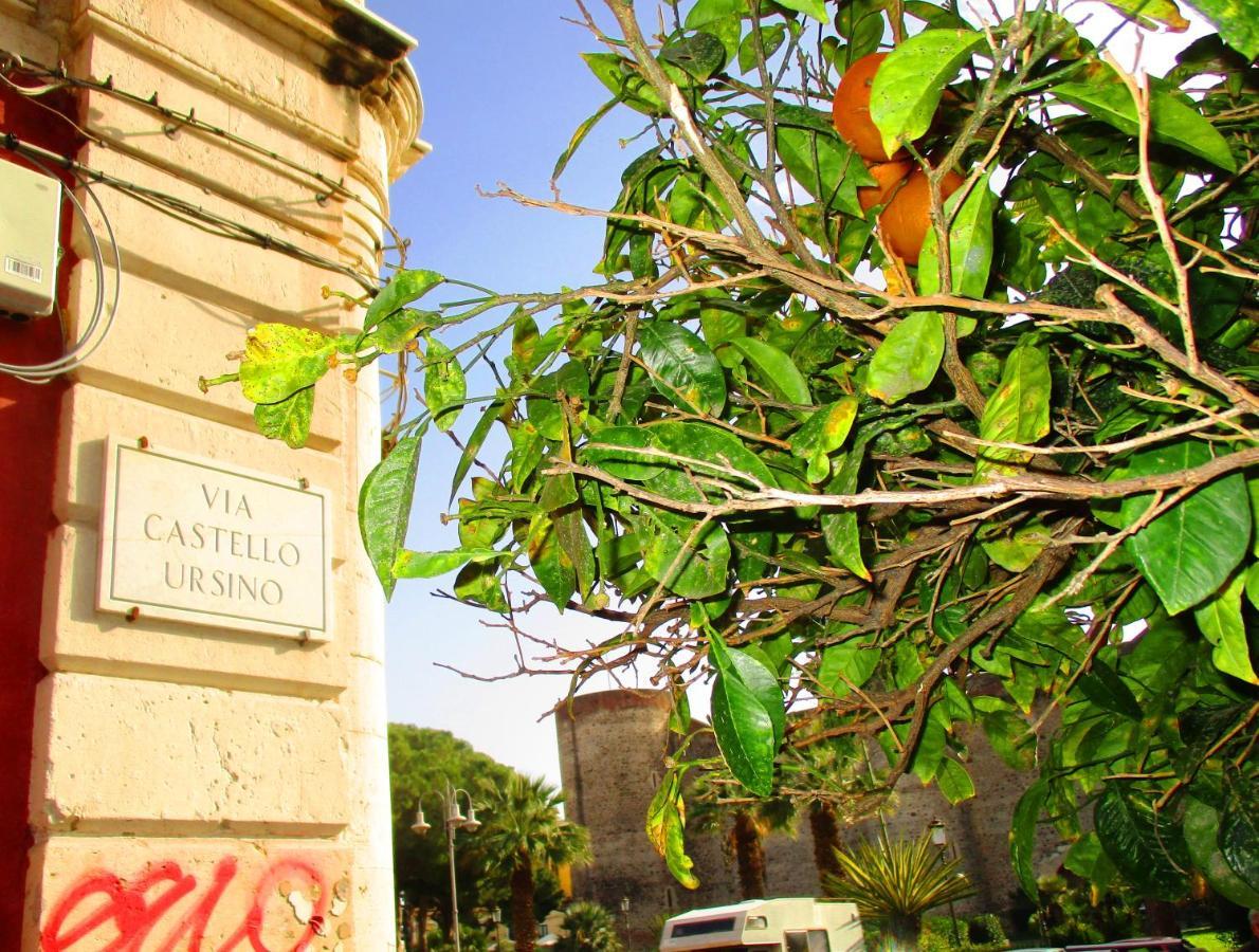 Diletta Oasi Bed & Breakfast Catania Bagian luar foto
